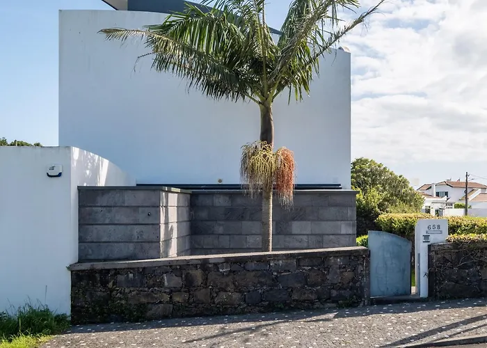 Tabletop By Azorean Living